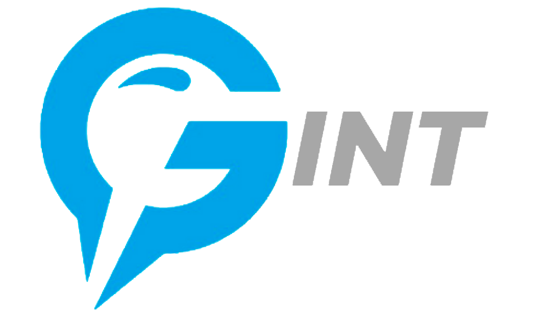 GINT Logo